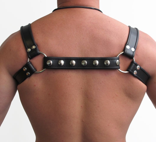 MISTER B PREMIUM LEATHER HALTER HARNESS