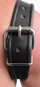 MISTER B PREMIUM LEATHER HALTER HARNESS