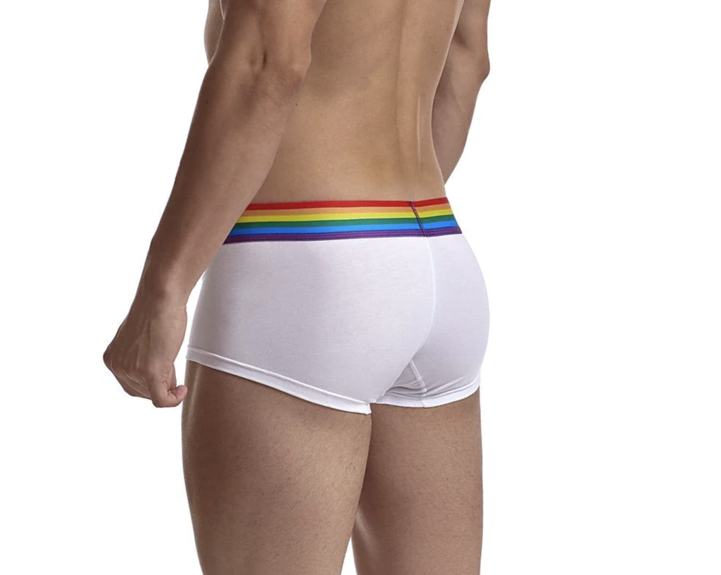 JOCKMAIL 461 RAINBOW OMN FLAT ANGLE BOXER