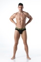 LEADER INVICTUS BRIEFS
