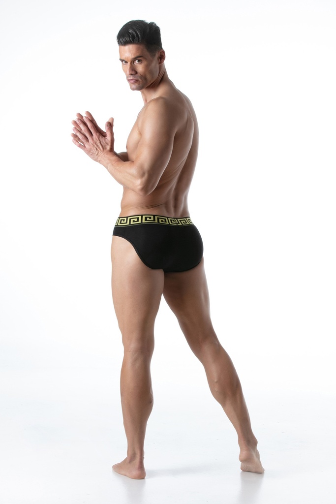 LEADER INVICTUS BRIEFS