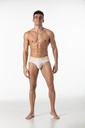 LEADER INVICTUS BRIEFS