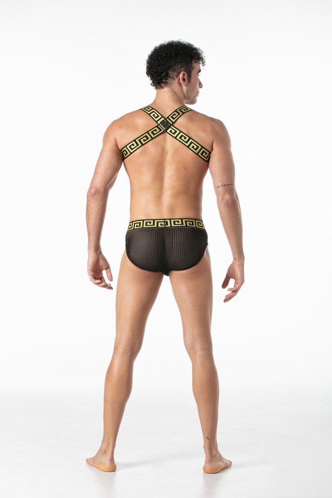 LEADER INVICTUS HARNESS