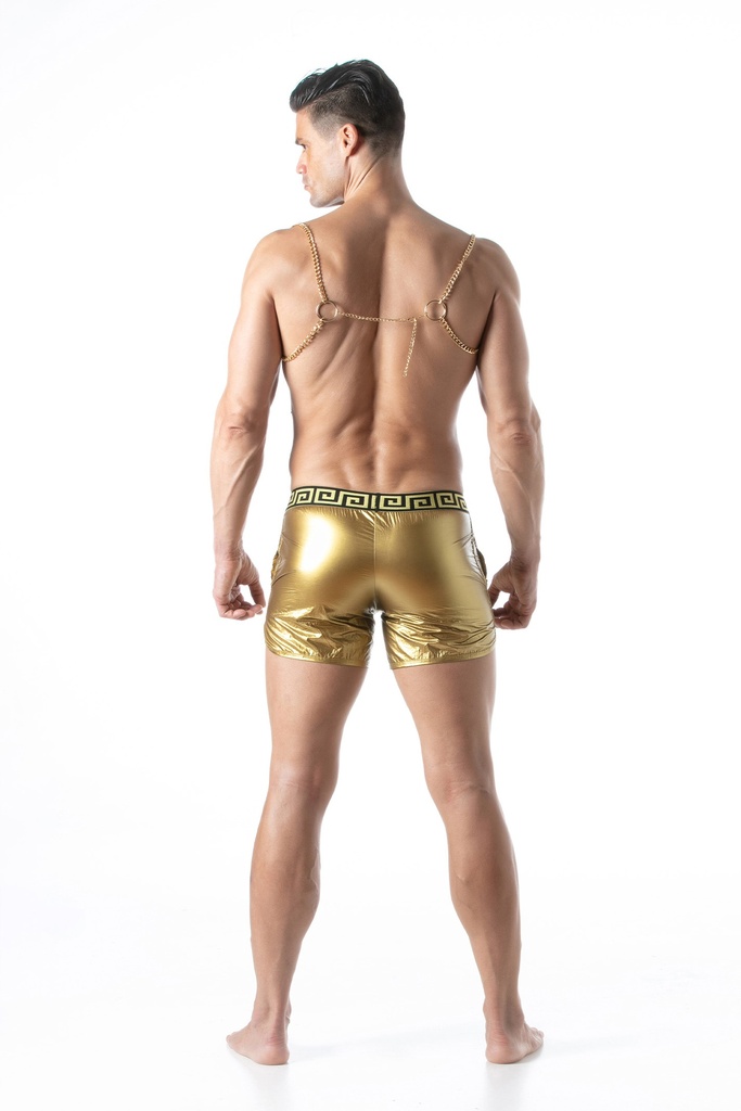 LEADER CHAIN HARNESS LIGHT