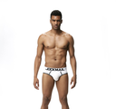 JM 340 MODAL TRIANGLE BRIEF