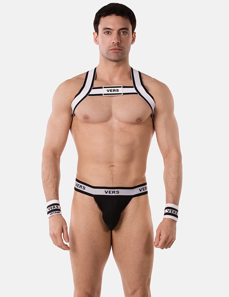 BARCODE BERLIN HARNESS VERS