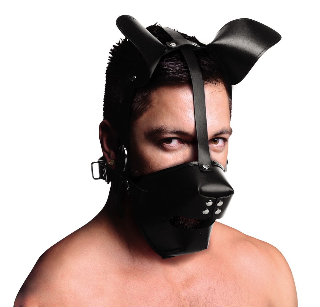 PUP PLAY HOOD W/ BREATHABLE BALL GAG
