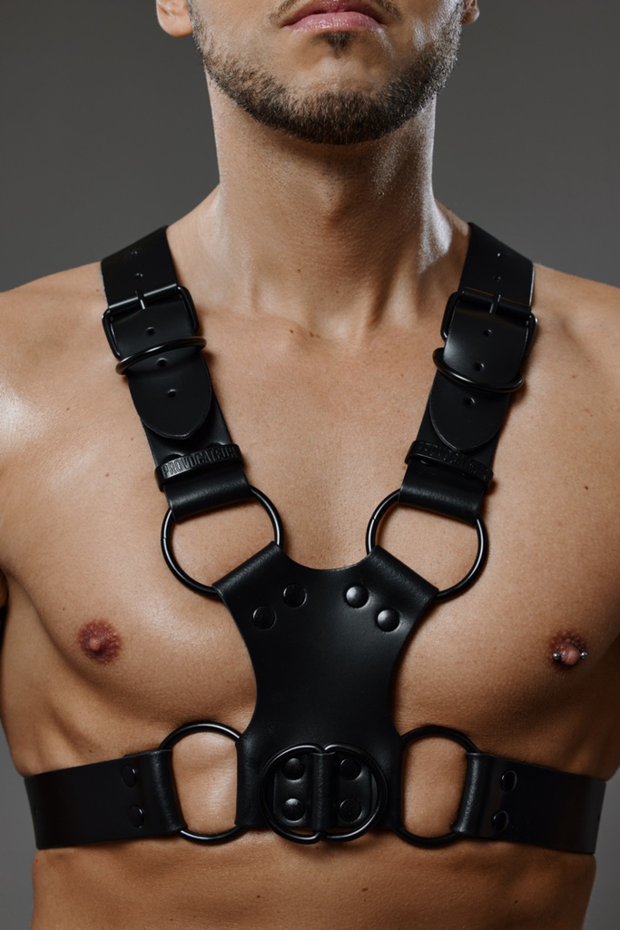PROVOCATEUR LEATHER HARNESS DAX