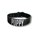PROVOCATEUR XL TESKST COLLAR