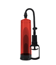PUMPED BASIC PUMP 2