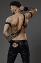 PROVOCATEUR LEATHER HARNESS TITAN