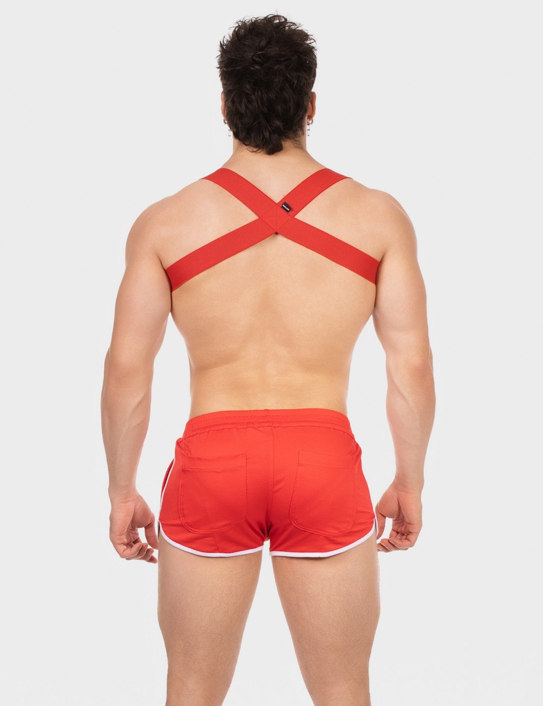 BARCODE BERLIN HARNESS EVERETTE