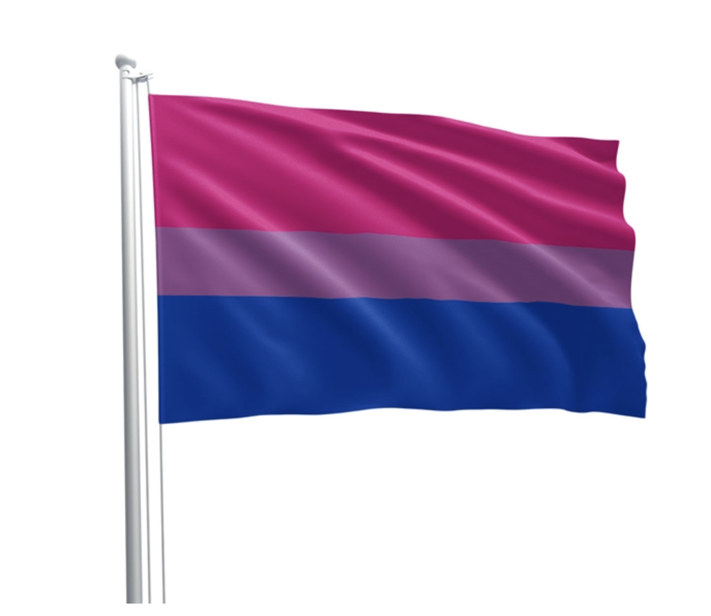 BI PRIDE FLAG 90x150cm