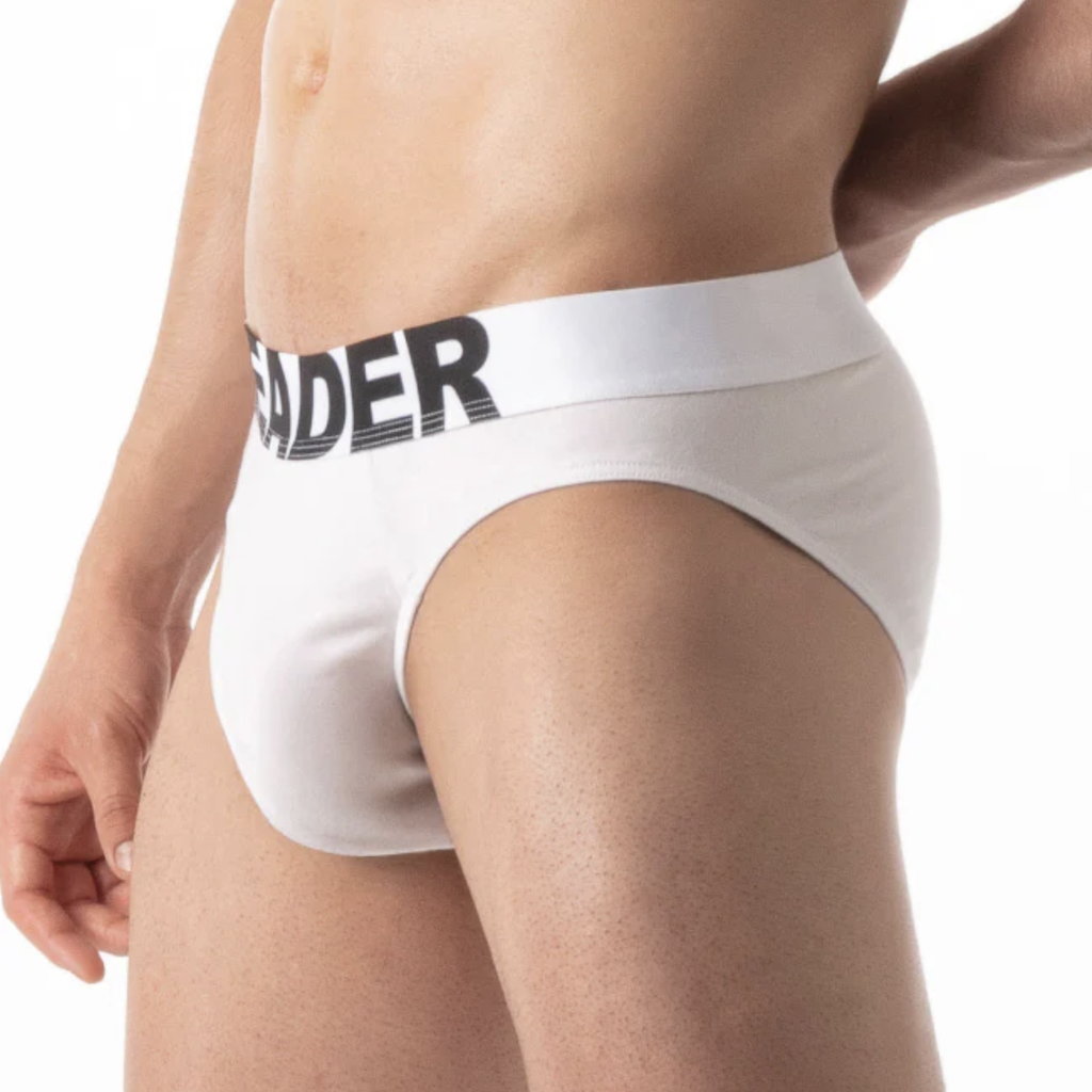 LEADER ESSENTIALS BRIEFS
