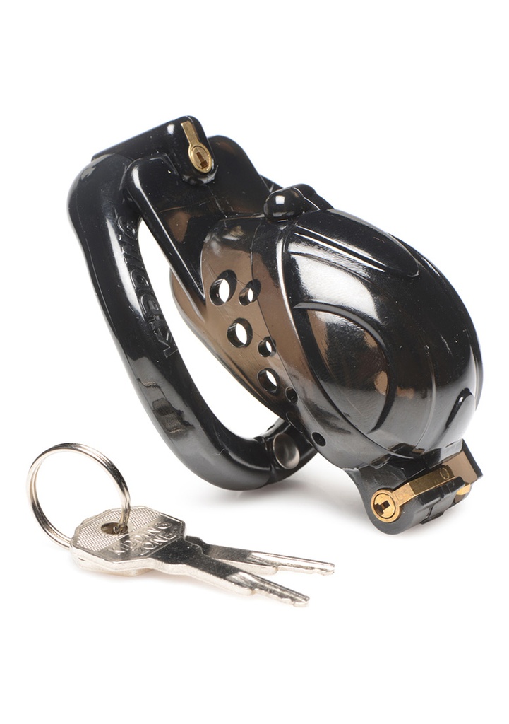 MASTER SERIES DOUBLE LOCK DOWN CHASTITY CAGE