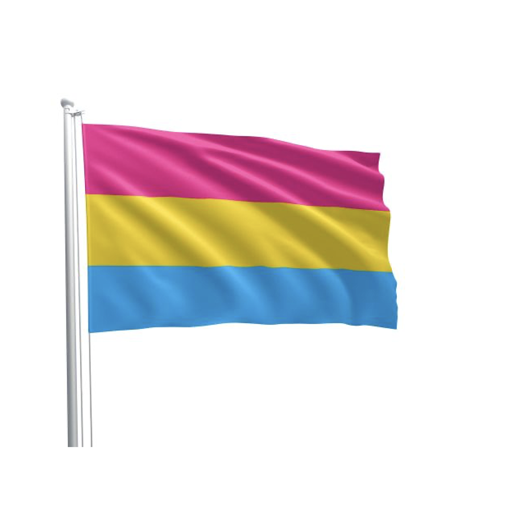 PRIDE FLAG PANSEXUAL
