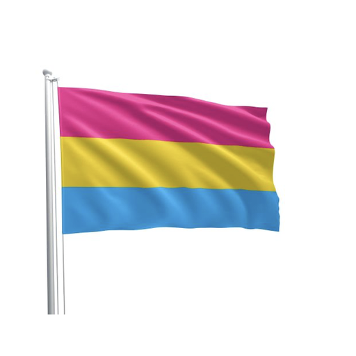 [P0023055] PRIDE FLAG PANSEXUAL