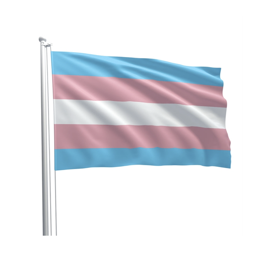 [834205] PRIDE FLAG TRANS 90x150cm 